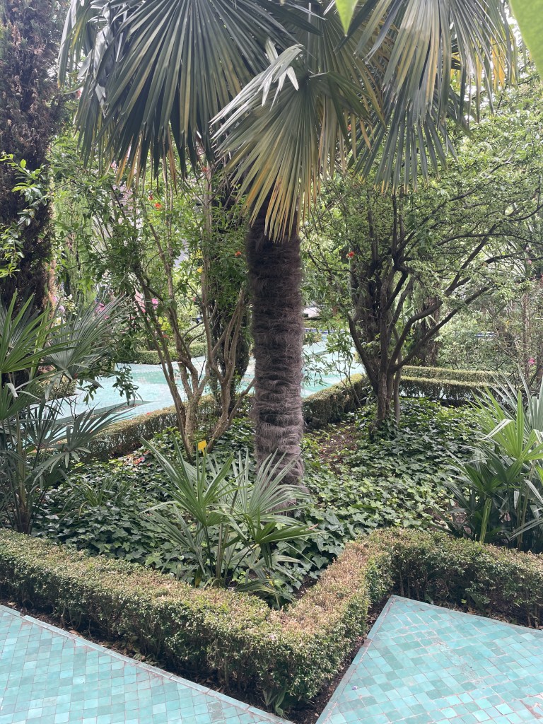 Zahrada Velké Mešity v Paříži