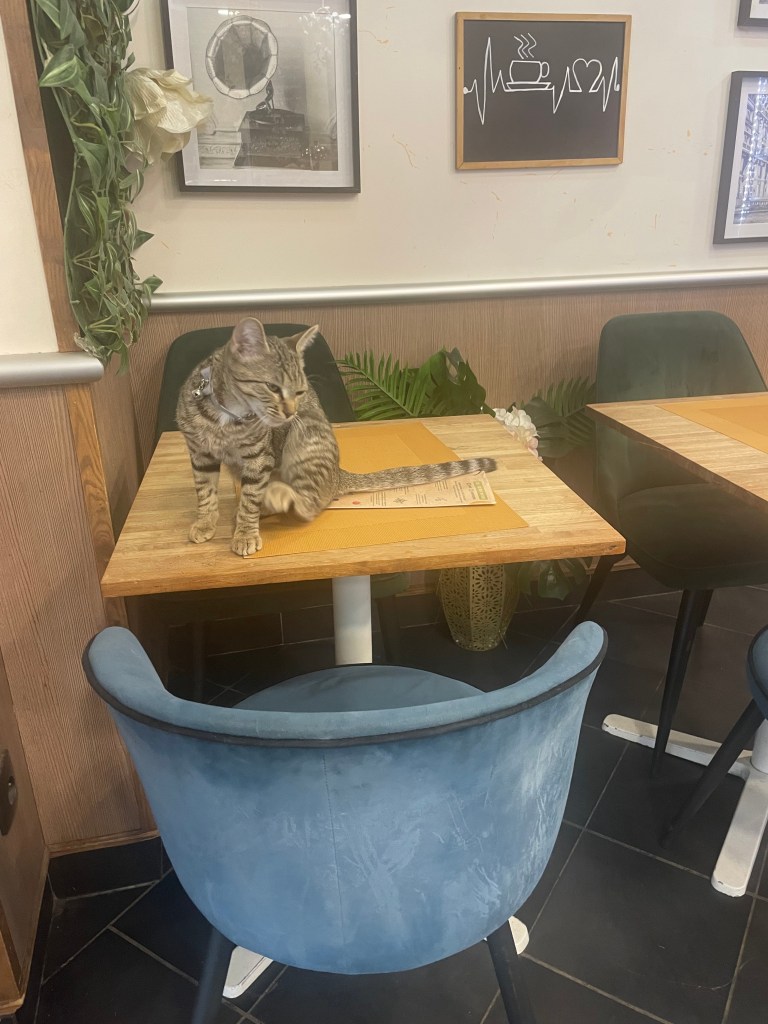 Bistro Gourmand Plaisir v Paříži