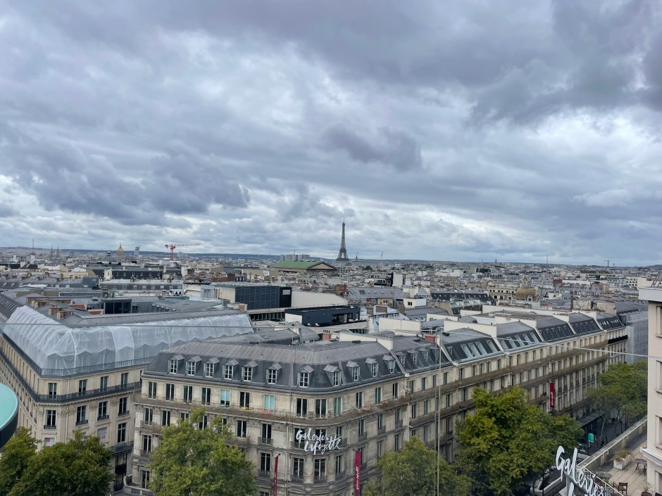 Výhled z obchodního centra Galeries Lafayette