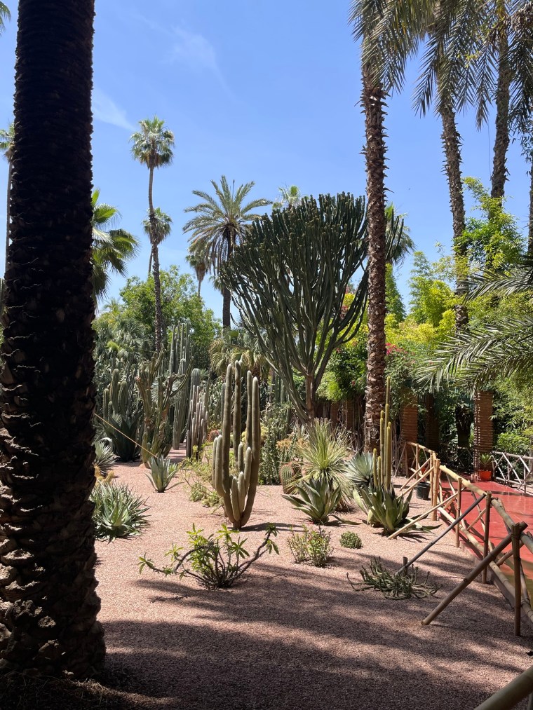 Zahrada Jardin Majorelle