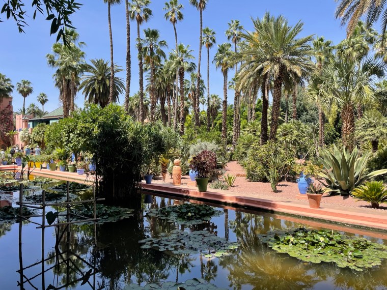 Zahrada Jardin Majorelle