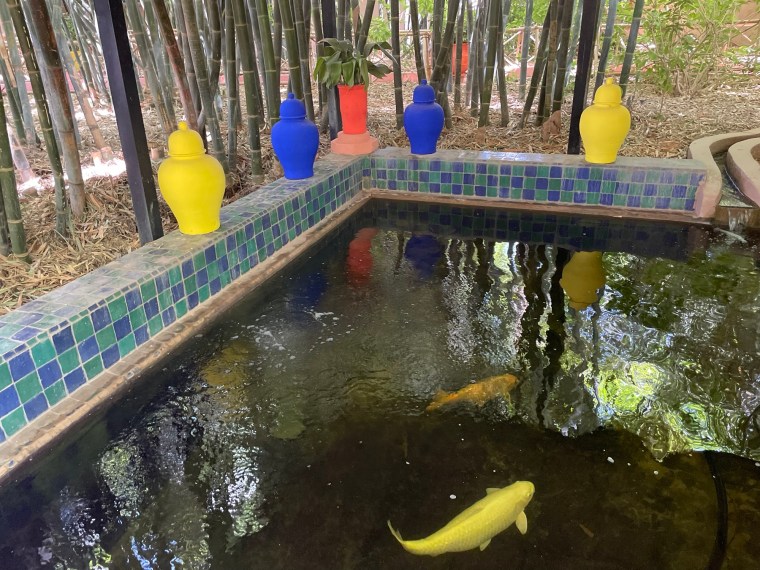 Zahrada Jardin Majorelle