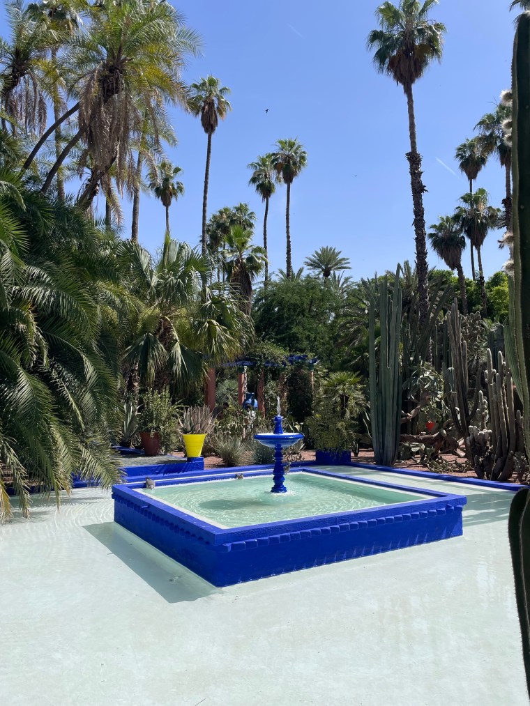 Rostliny, palmy, kaktusy, Zahrada Jardin Majorelle